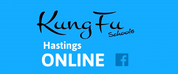 kung fu schools hastings online, online members, kung fu online training, hastings online kung fu